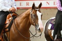 27-APHA OT_092